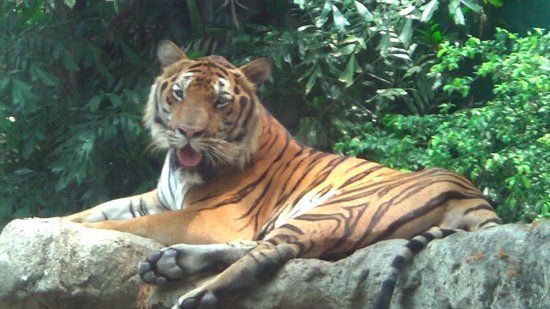 Zoo di Dusit